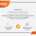 Acercar imagen: certificate 4