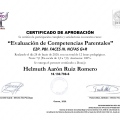 Acercar imagen: certificate 17