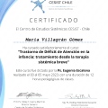 Acercar imagen: certificate 15