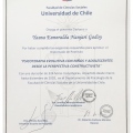 Acercar imagen: certificate 13