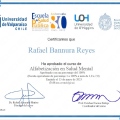 Acercar imagen: certificate 5
