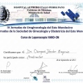 Acercar imagen: certificate 12