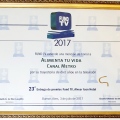 Acercar imagen: certificate 7