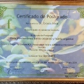 Acercar imagen: certificate 20