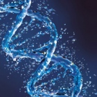 Dra. Gabriela Paula Ceriani