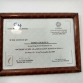 Acercar imagen: certificate 4
