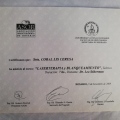 Acercar imagen: certificate 6