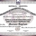 Acercar imagen: certificate 5