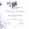 Acercar imagen: certificate 13