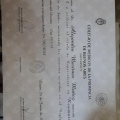 Acercar imagen: certificate 5