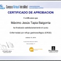 Acercar imagen: certificate 3