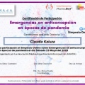 Acercar imagen: certificate 16