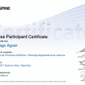 Acercar imagen: certificate 2
