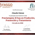 Acercar imagen: certificate 17