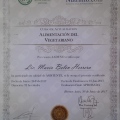 Acercar imagen: certificate 3
