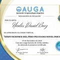 Acercar imagen: certificate 6
