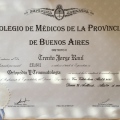 Acercar imagen: certificate 5