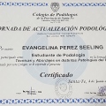 Acercar imagen: certificate 14