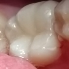  María Inés González Martese