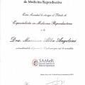 Acercar imagen: certificate 7