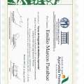 Acercar imagen: certificate 5