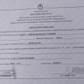 Acercar imagen: certificate 5
