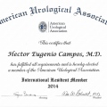 Acercar imagen: certificate 15