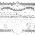 Acercar imagen: certificate 2