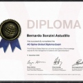 Acercar imagen: certificate 5