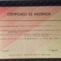 Acercar imagen: certificate 3