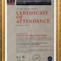 Acercar imagen: certificate 5