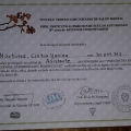 Acercar imagen: certificate 4