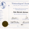 Acercar imagen: certificate 3