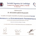 Acercar imagen: certificate 5