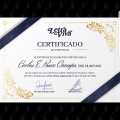 Acercar imagen: certificate 23