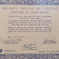Acercar imagen: certificate 9