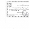 Acercar imagen: certificate 13