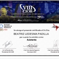 Acercar imagen: certificate 2