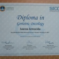 Acercar imagen: certificate 7