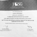 Acercar imagen: certificate 3