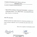 Acercar imagen: certificate 26