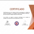 Acercar imagen: certificate 8