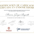 Acercar imagen: certificate 1