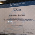 Acercar imagen: certificate 6