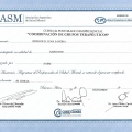 Acercar imagen: certificate 17