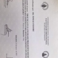 Acercar imagen: certificate 13