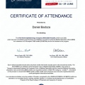Acercar imagen: certificate 20