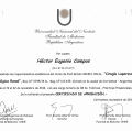 Acercar imagen: certificate 9