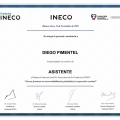 Acercar imagen: certificate 8
