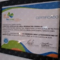 Acercar imagen: certificate 9